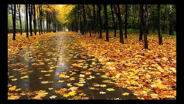 0601 гр. Дальний свет