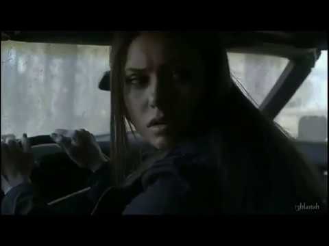0332 Алексей Раджабов