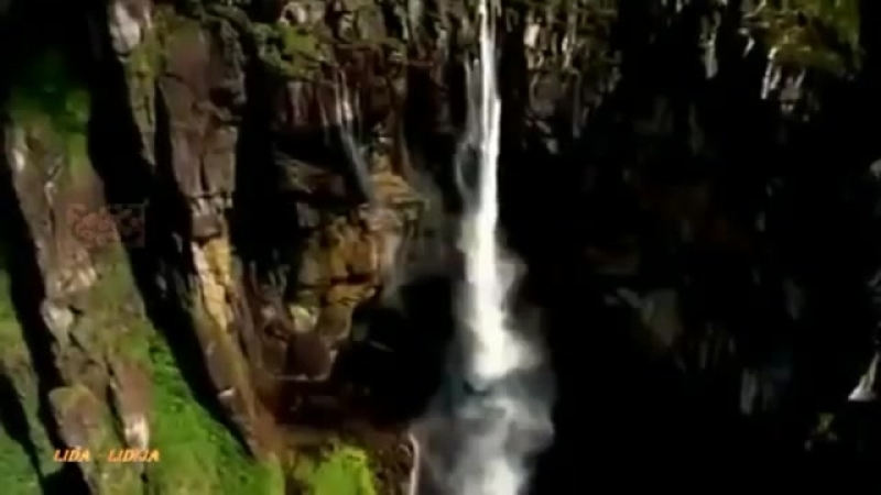 0147 Дима Казанский