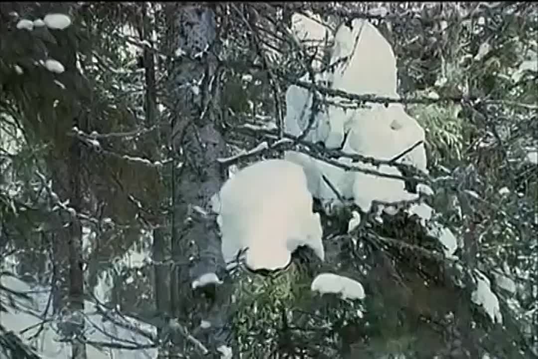 0137 Катерина Голицына