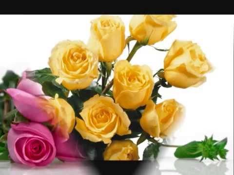 0038 Андрей Шпехт