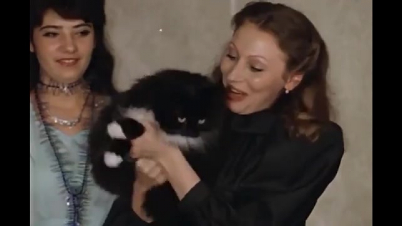 «Чародеи» (Одесская киностудия, 1982)