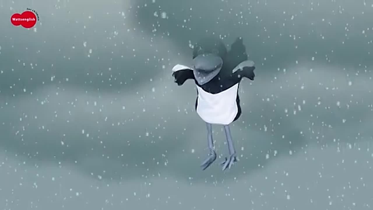 weather