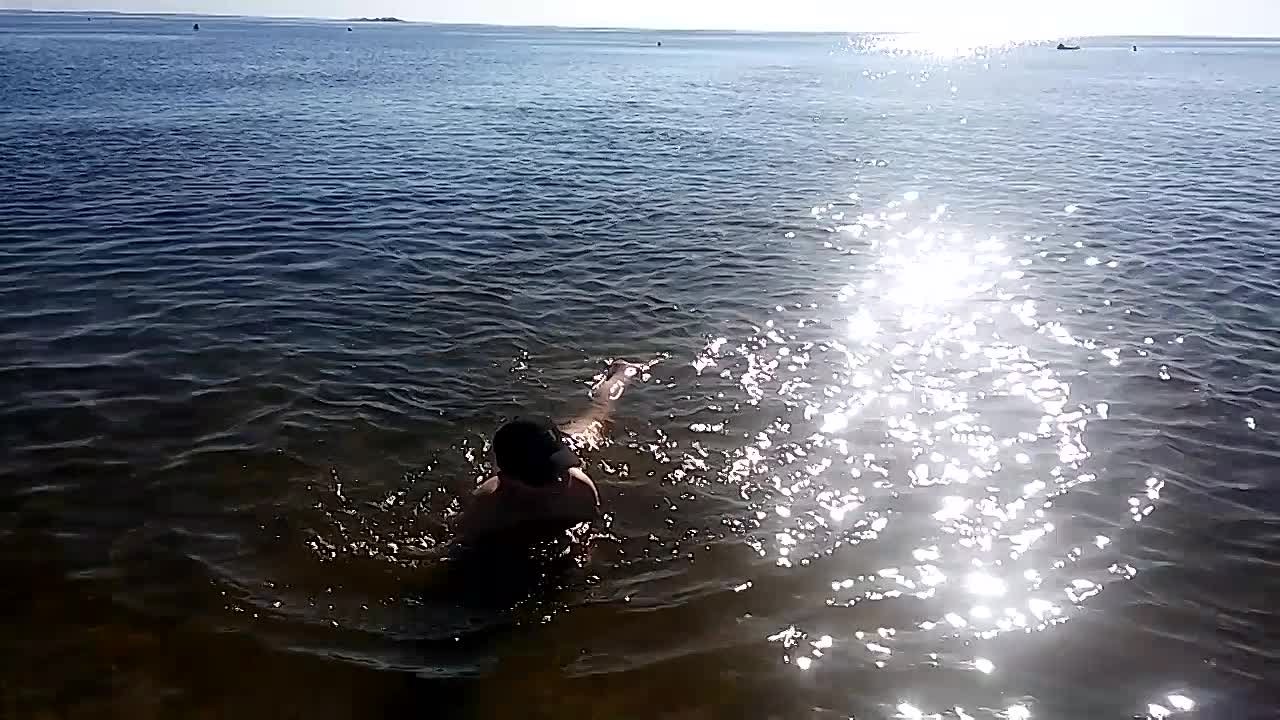 Наши