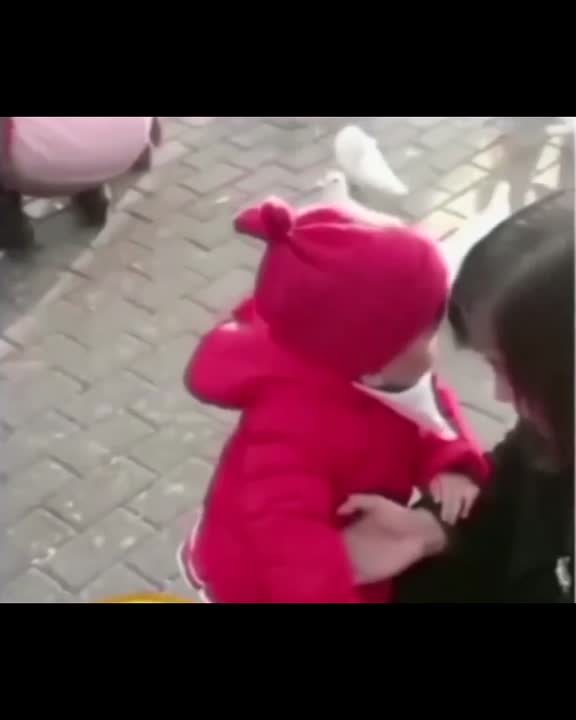 Приколы