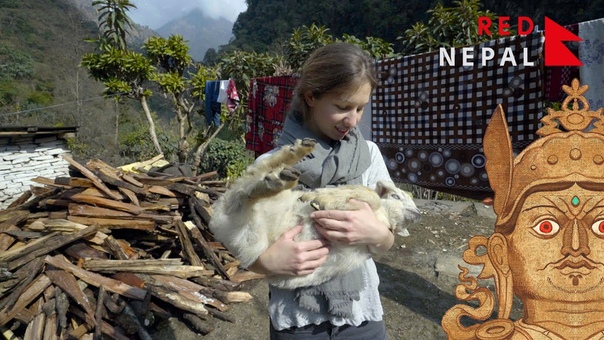 Непал (Nepal)