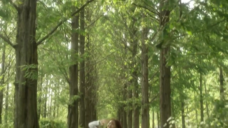 Noble My Love