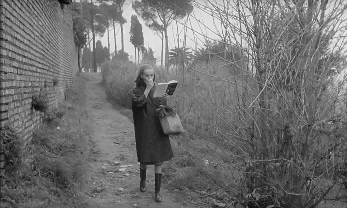 Joseph Losey