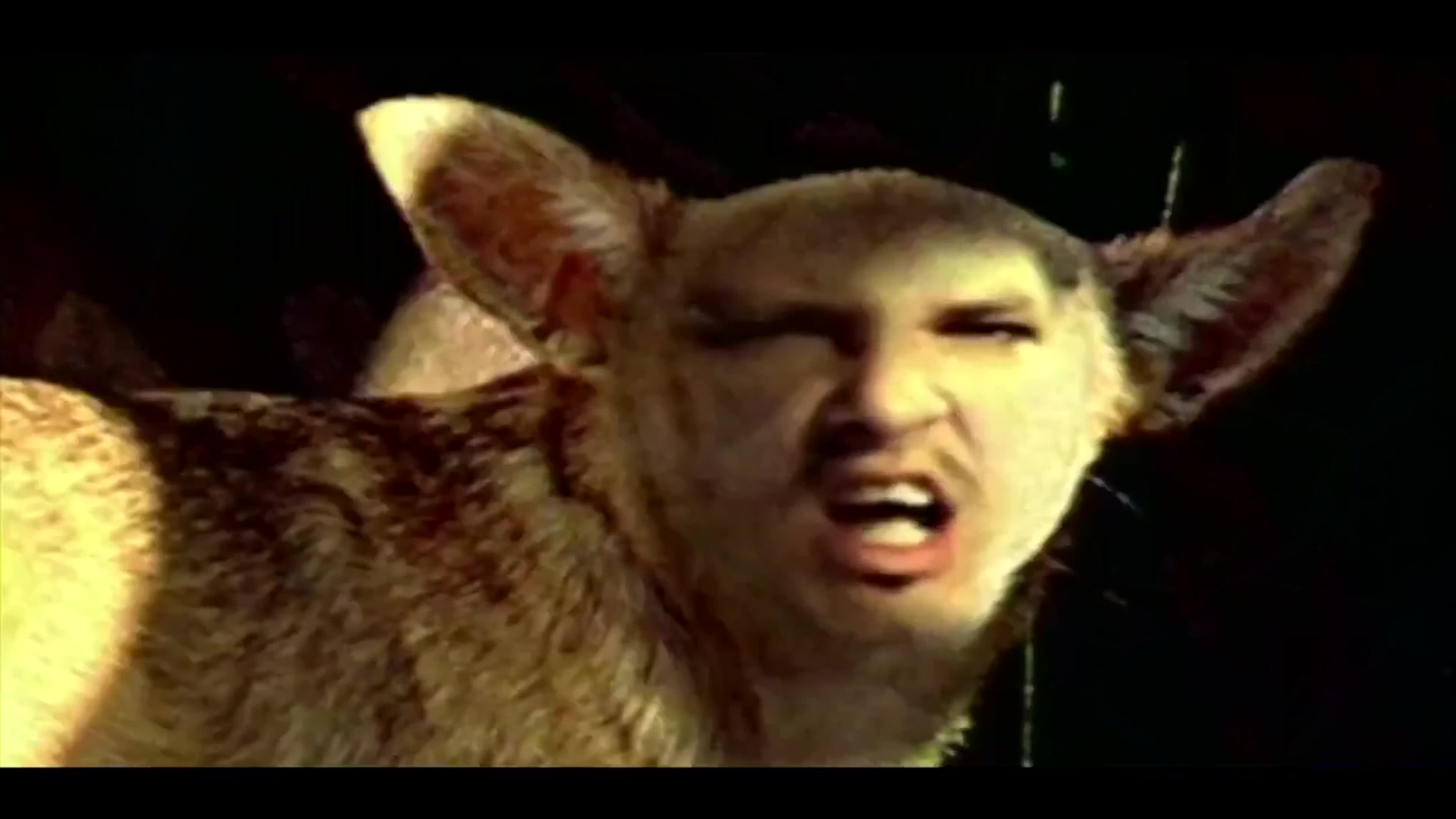 Korn