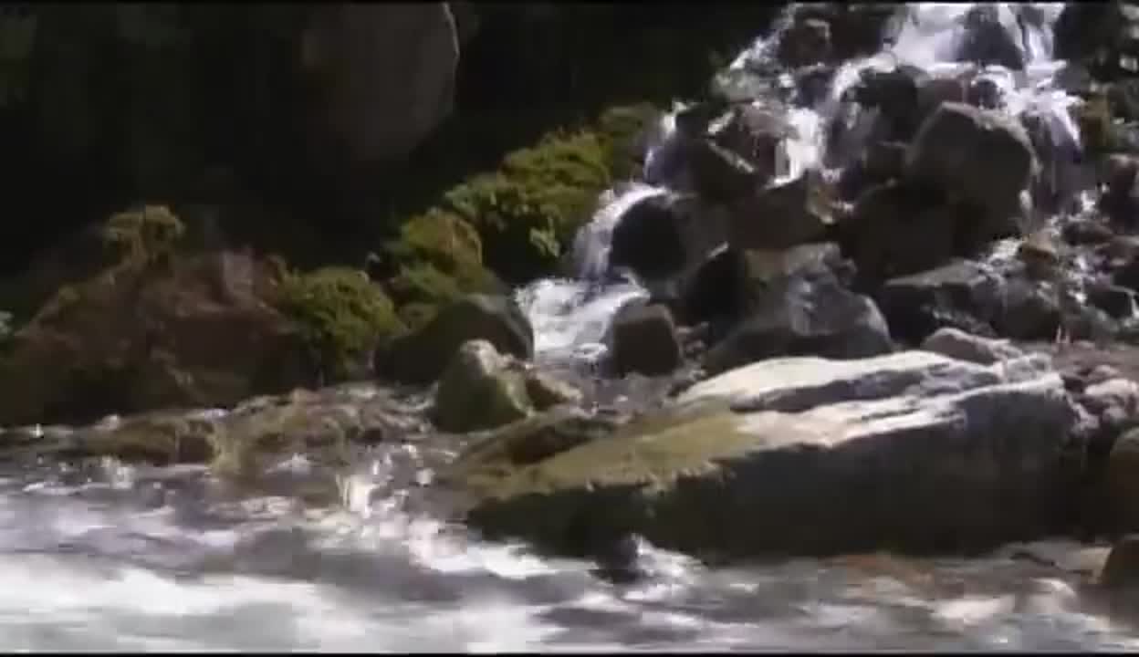 док.фильмы