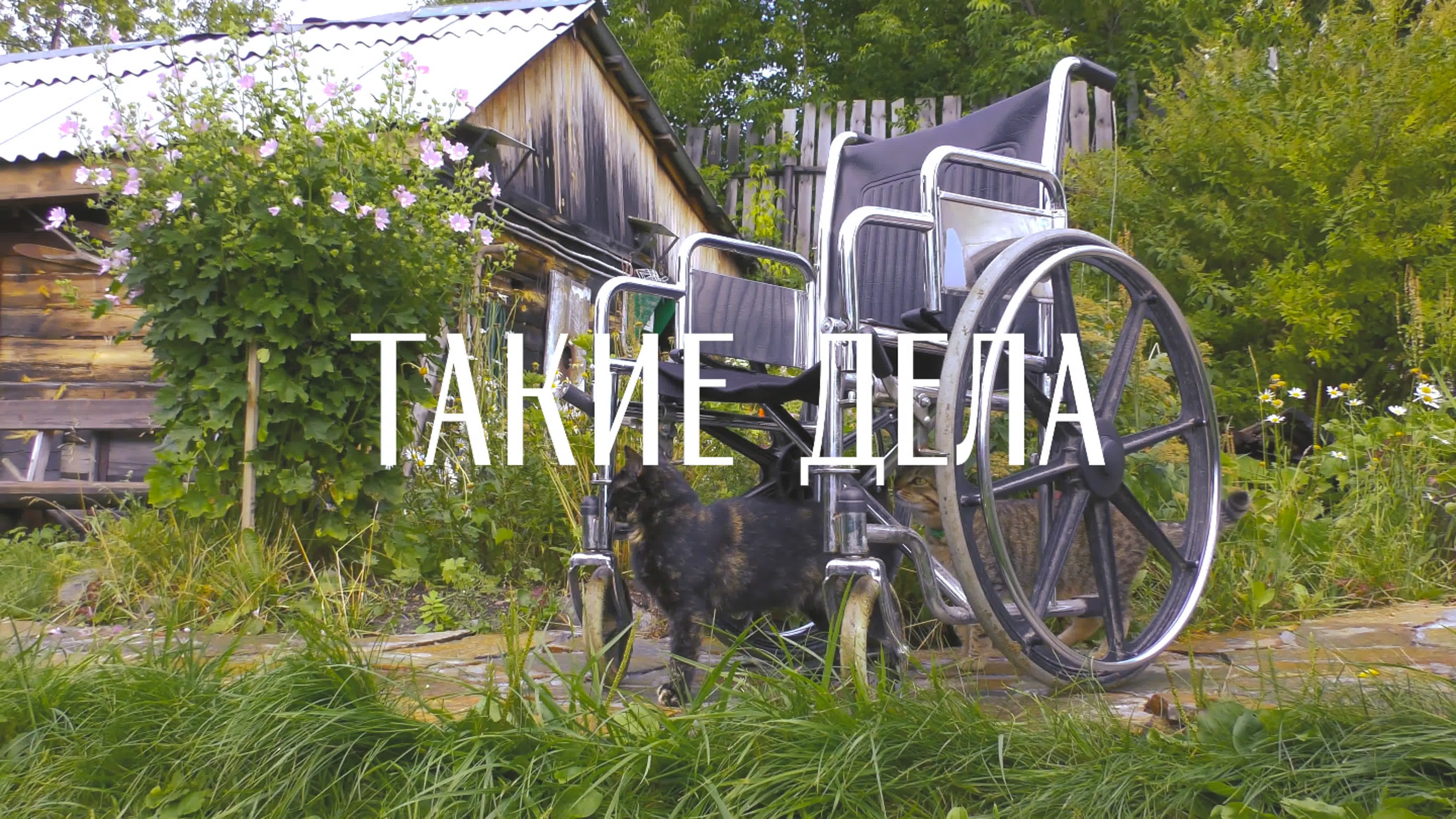 Такие Дела