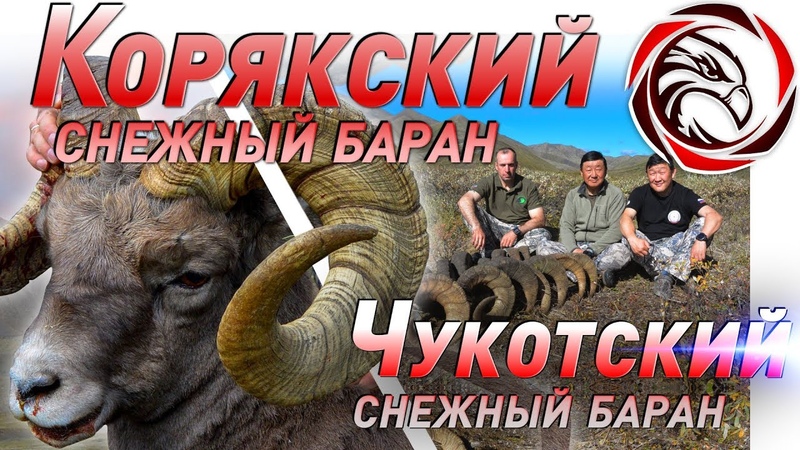 Охота и рыбалка - жестокие убийства животных