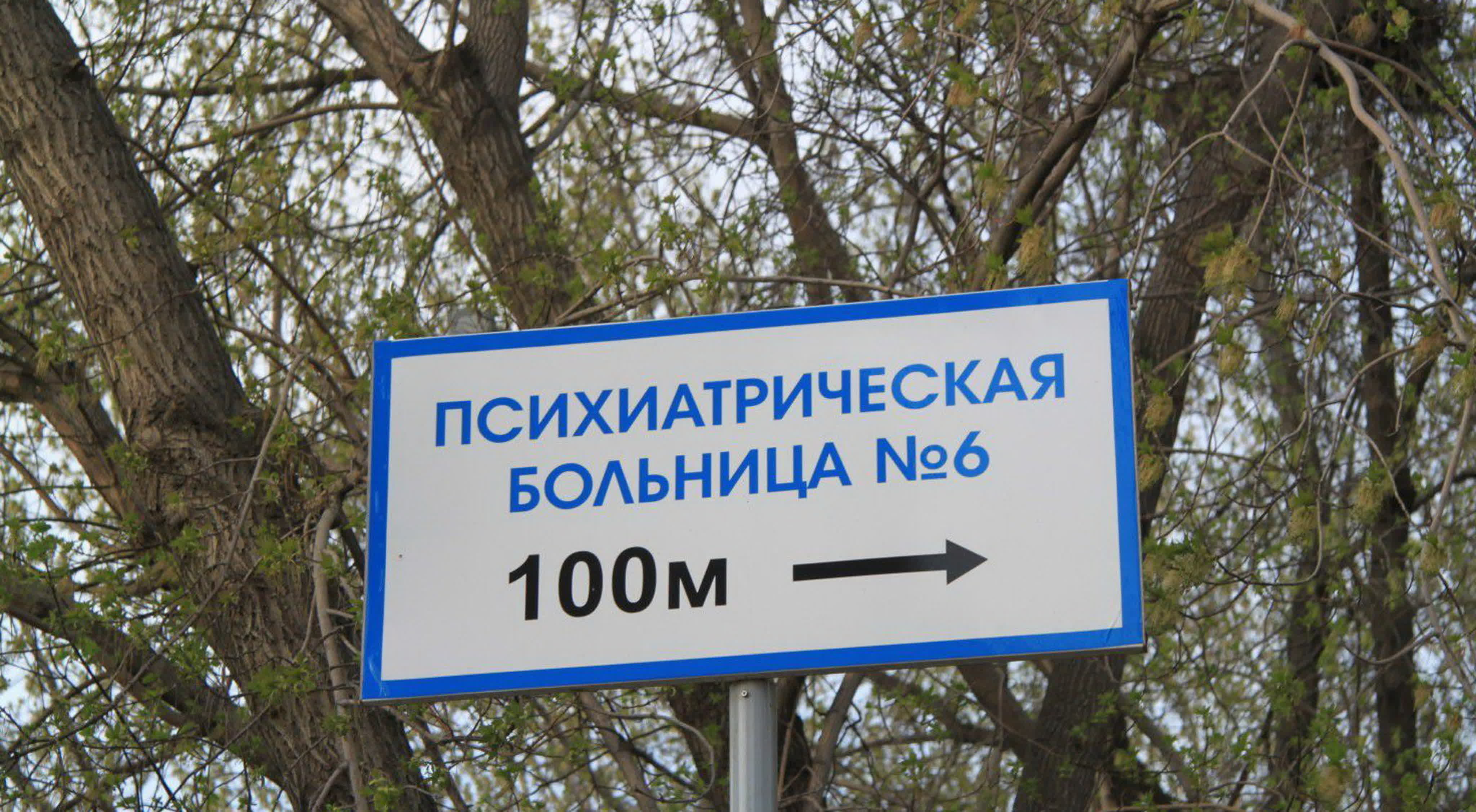 Психиатрия