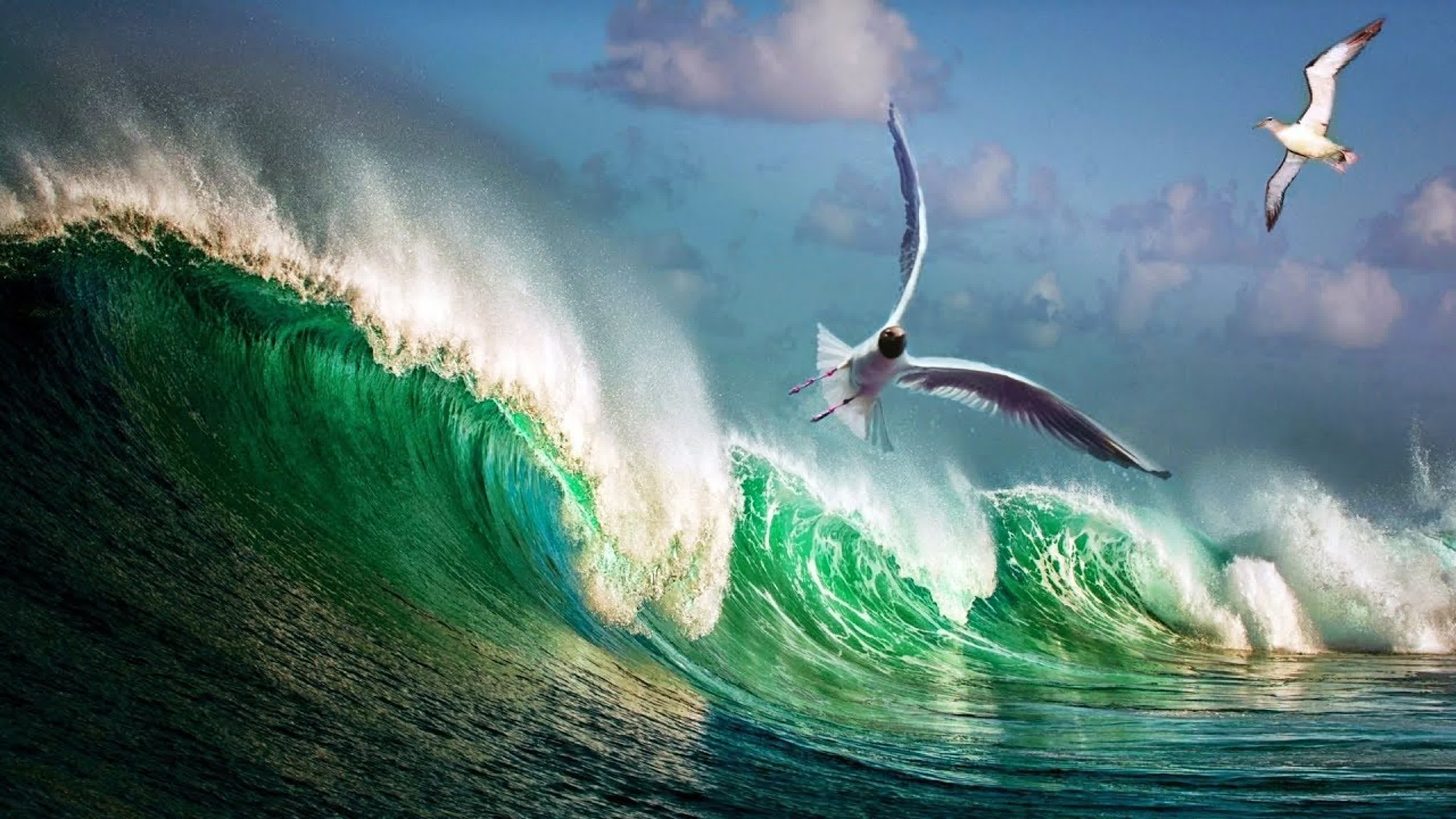 природа