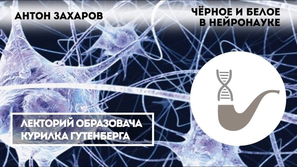 Лекции