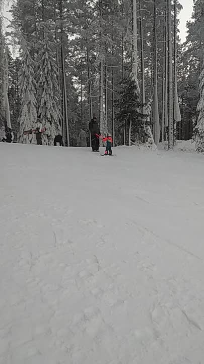 семейное