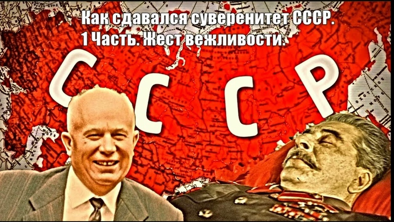 общество