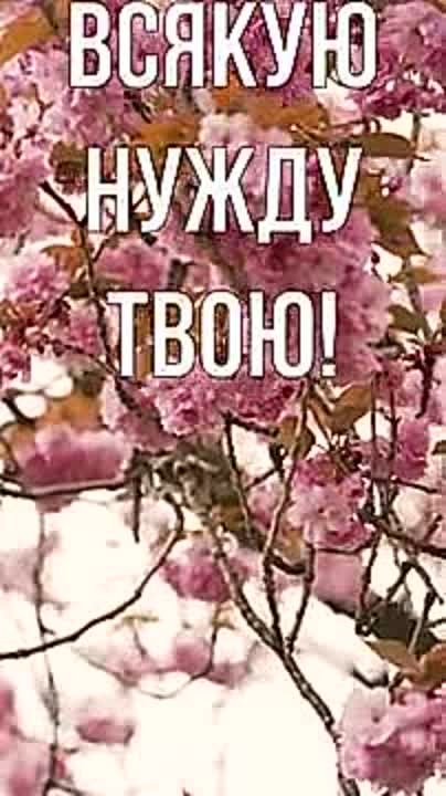 Благословения