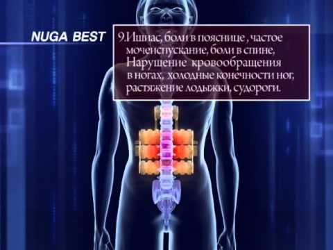 Лекции доктора Малко (НУГА БЕСТ)