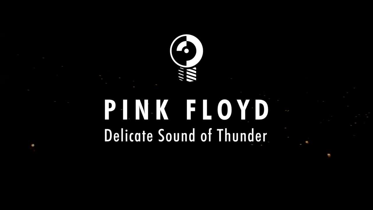 Pink Floyd - Delicate Sound Of Thunder (4К