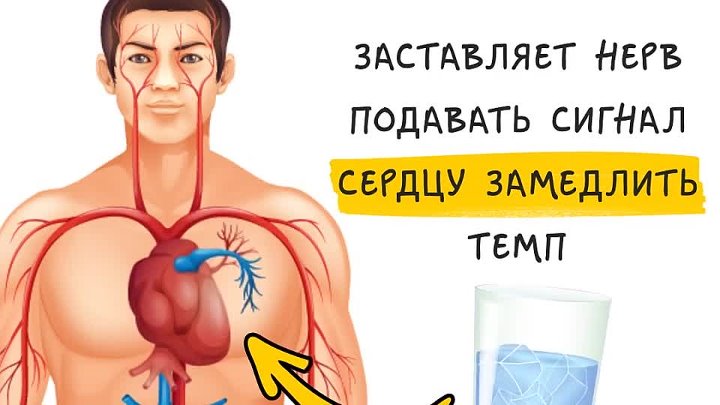Здоровье