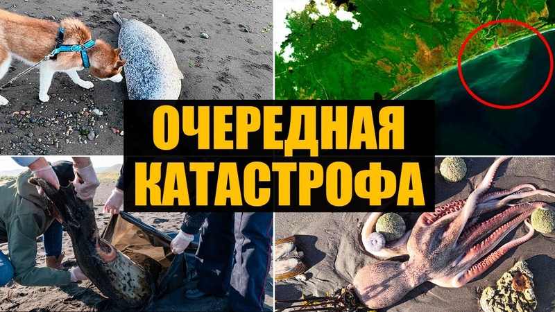 Новости СВЕРХДЕРЖАВЫ
