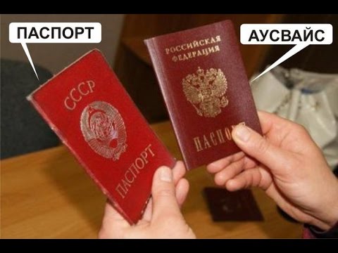 Паспорт