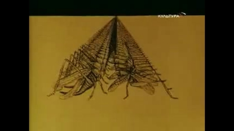 По рисункам Пушкина