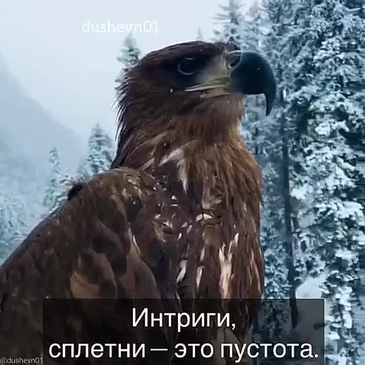 ПРИТЧИ