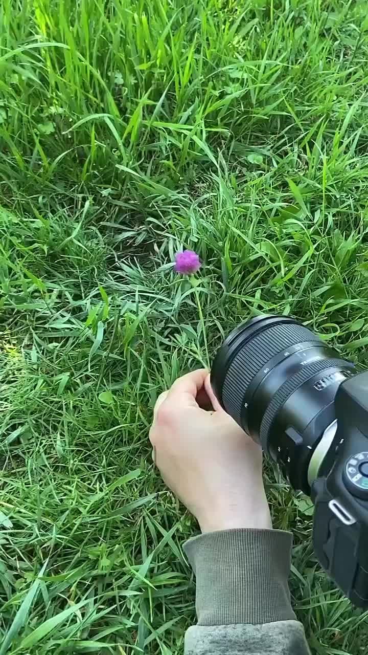 Младшие..