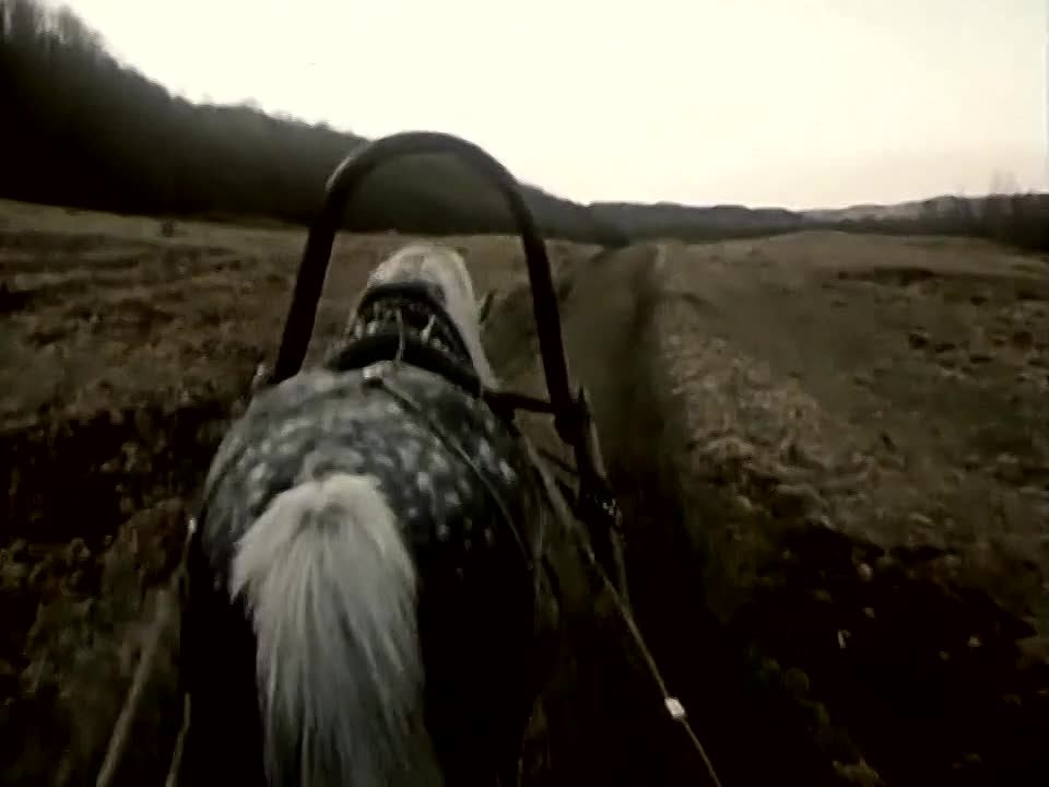 БУЛГАКОВ