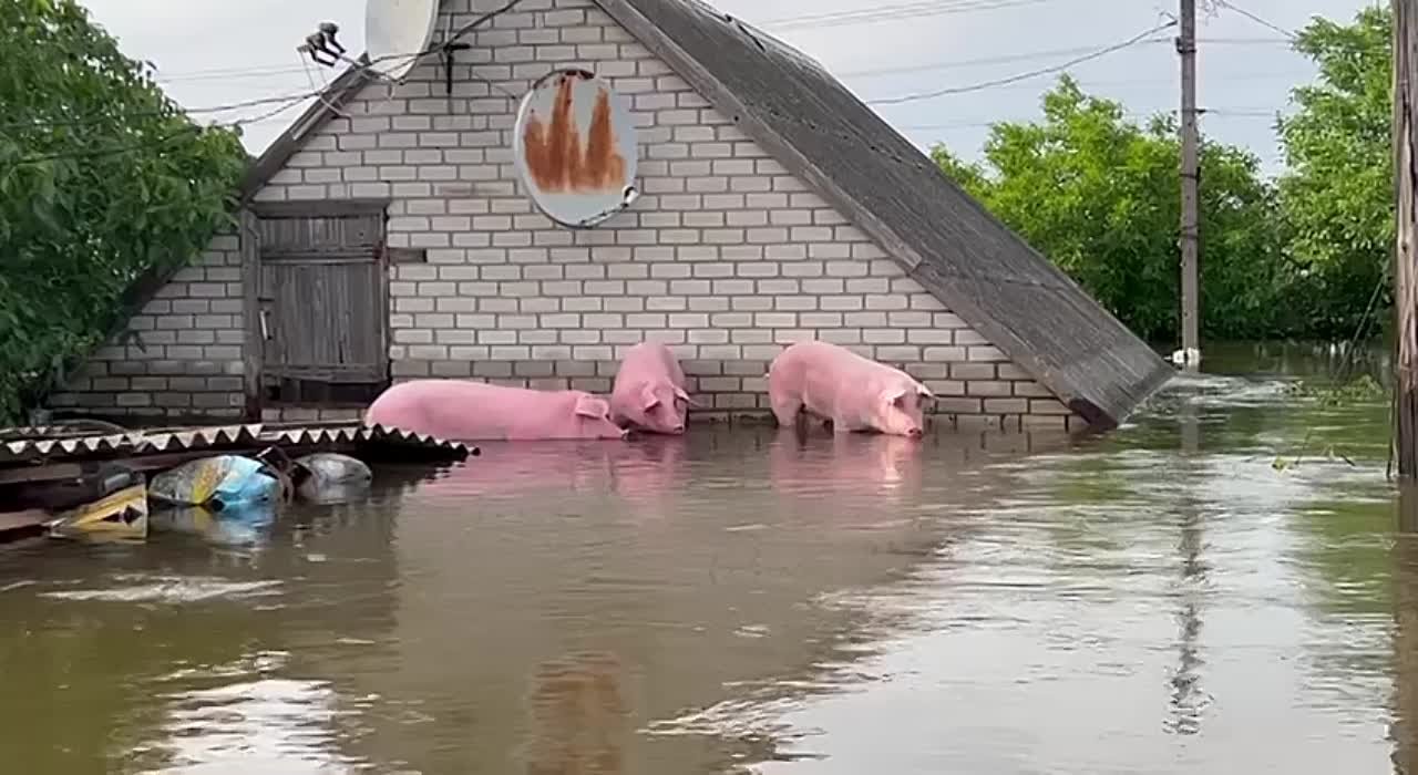 Херсон