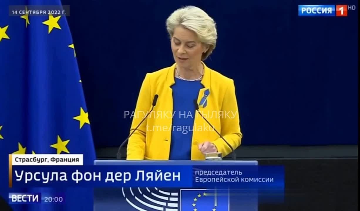 политика