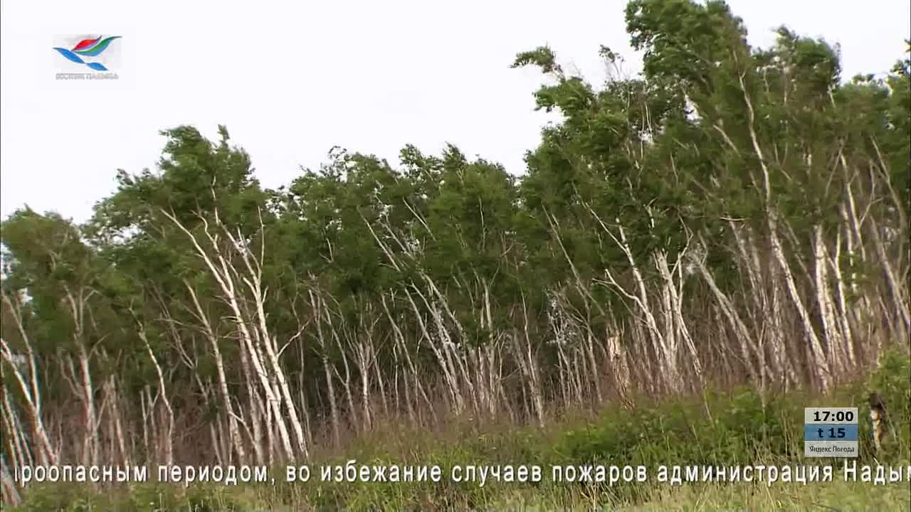 Мартовские,Апрельские и Майские Профилактики 2023 года