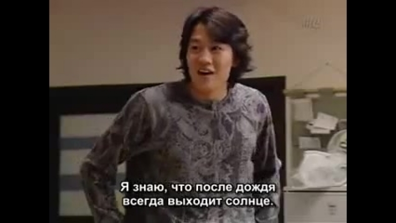 КОТ НА КРЫШЕ