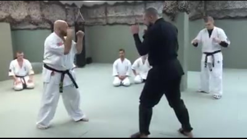 бадюк и компания