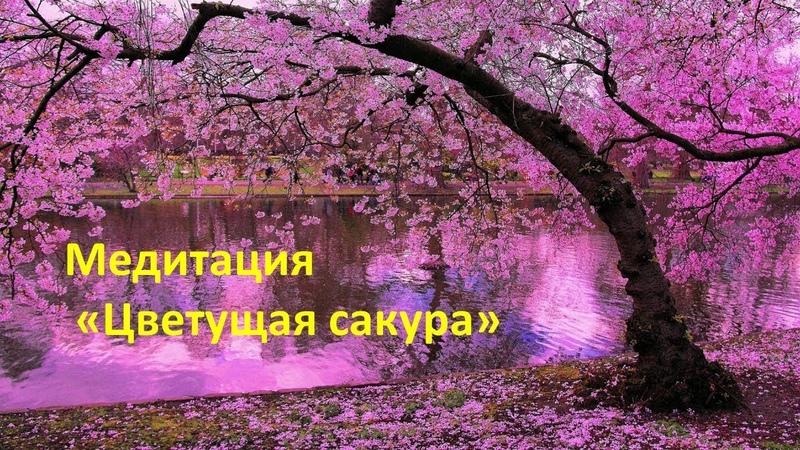 Даниил Раменский Школа 4 стихии