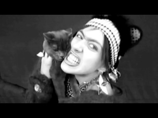 Котейки