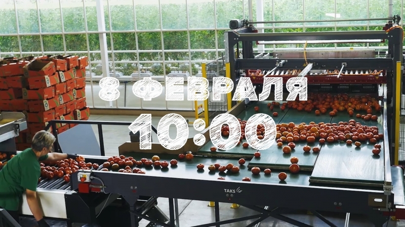 Всероссийский открытый урок