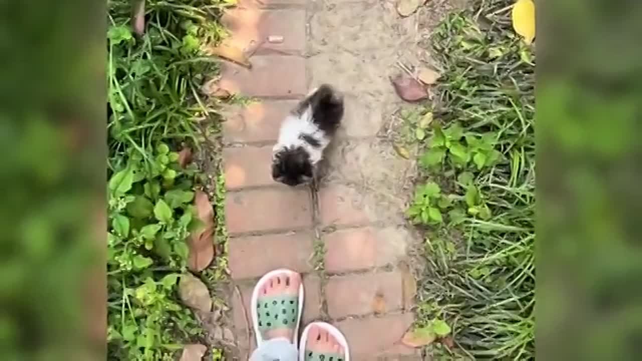 Клипы,приколы и разное