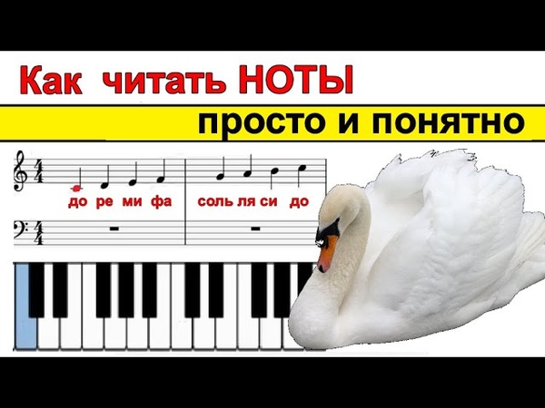 Разное