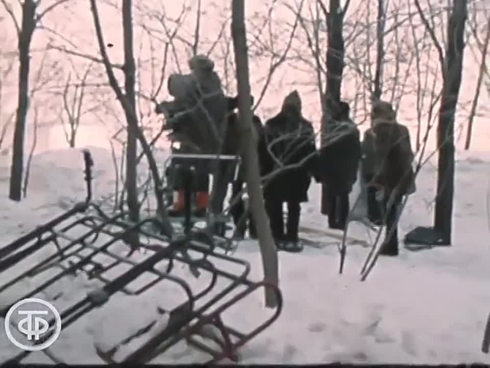 Передачи про ОМа.