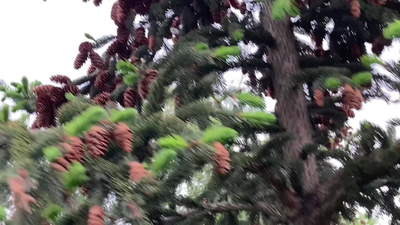 !