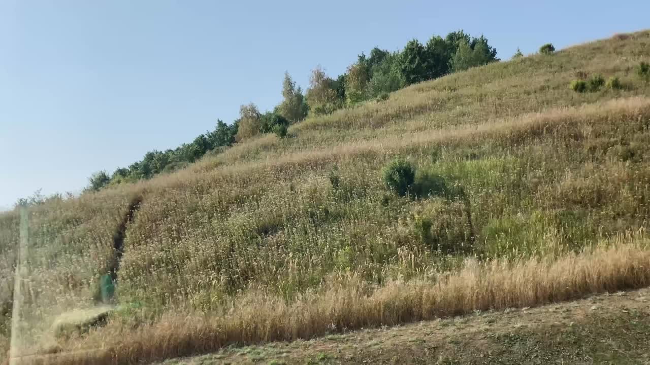 !