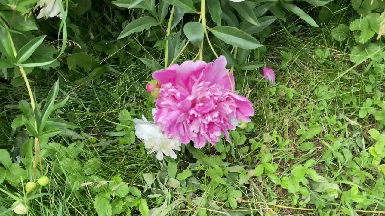 !