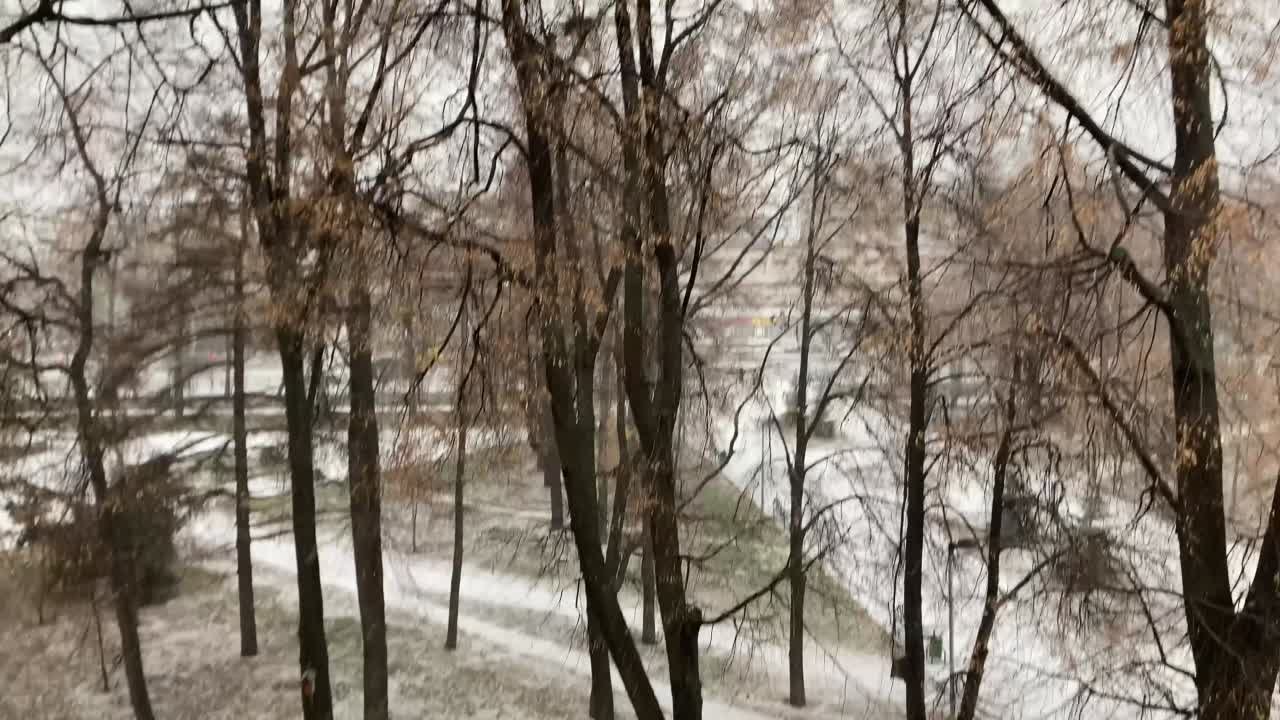 Беренче кар!!!