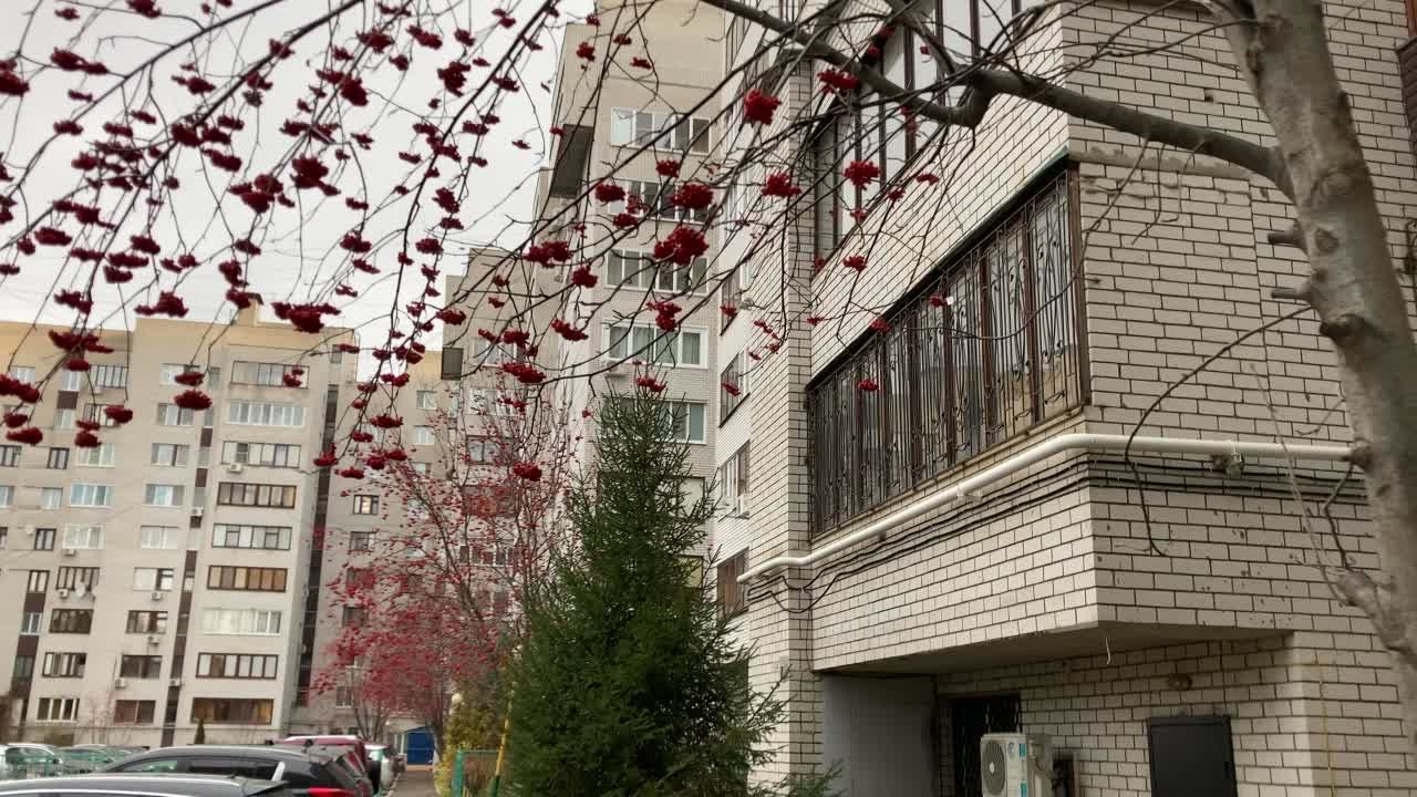 Барам!!!!