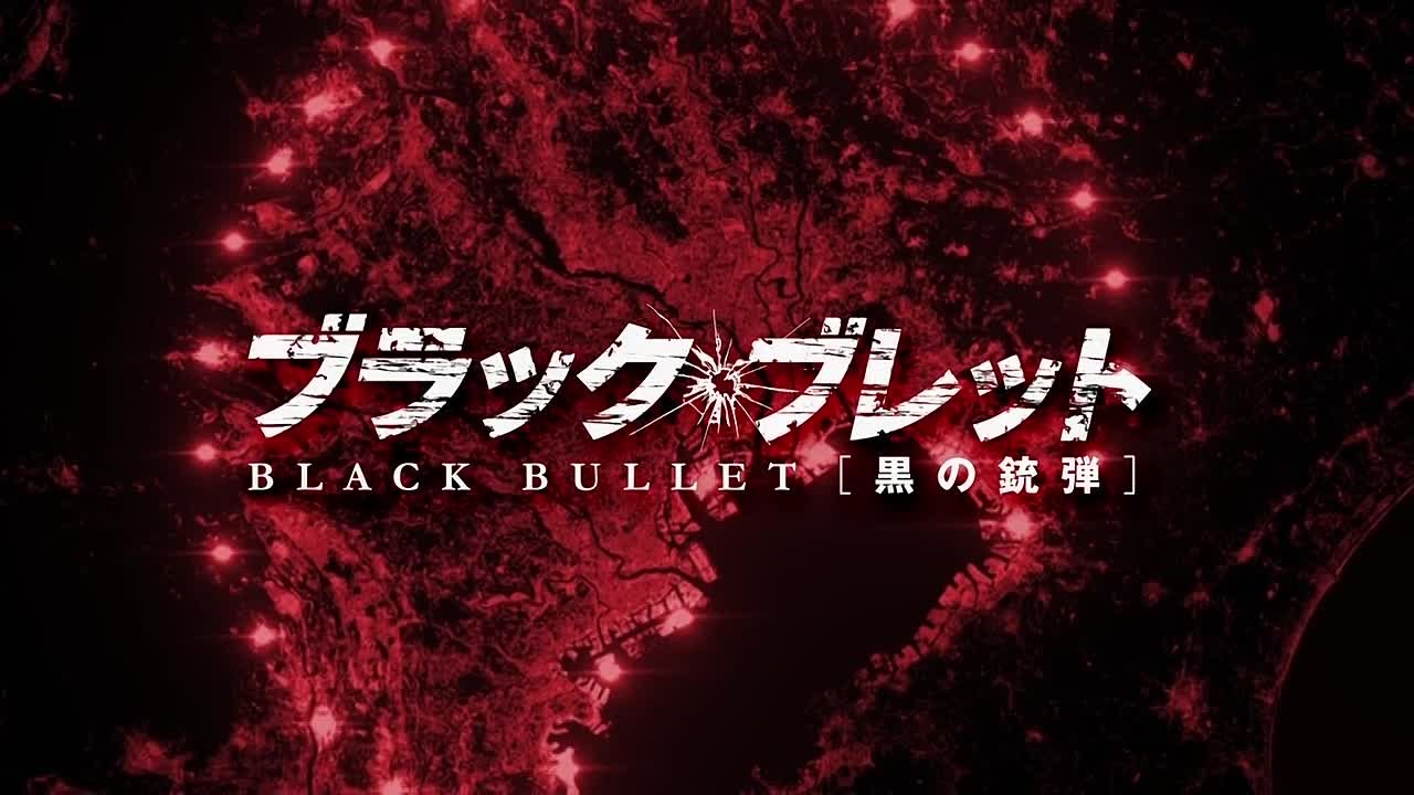 Black Bullet / Черная пуля