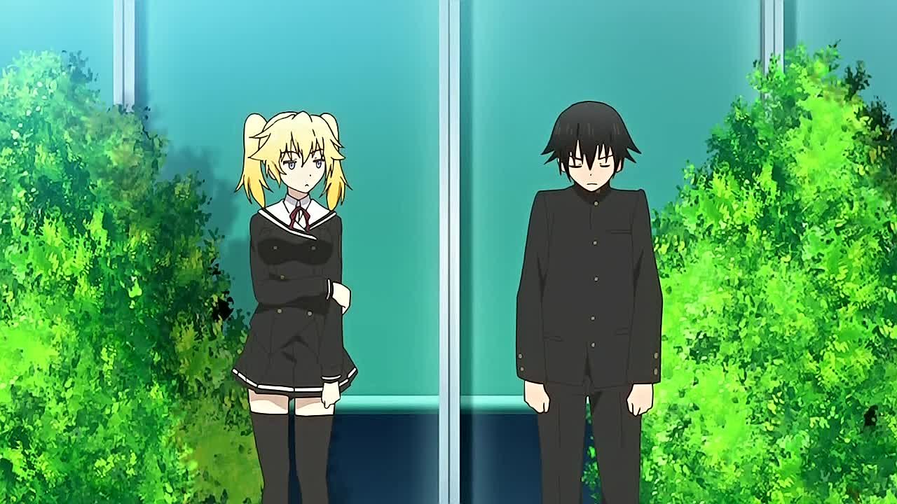 Onii-chan Dakedo Ai Sae Areba Kankeinai