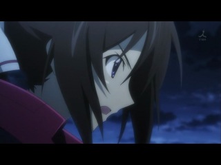 IS: Infinite Stratos